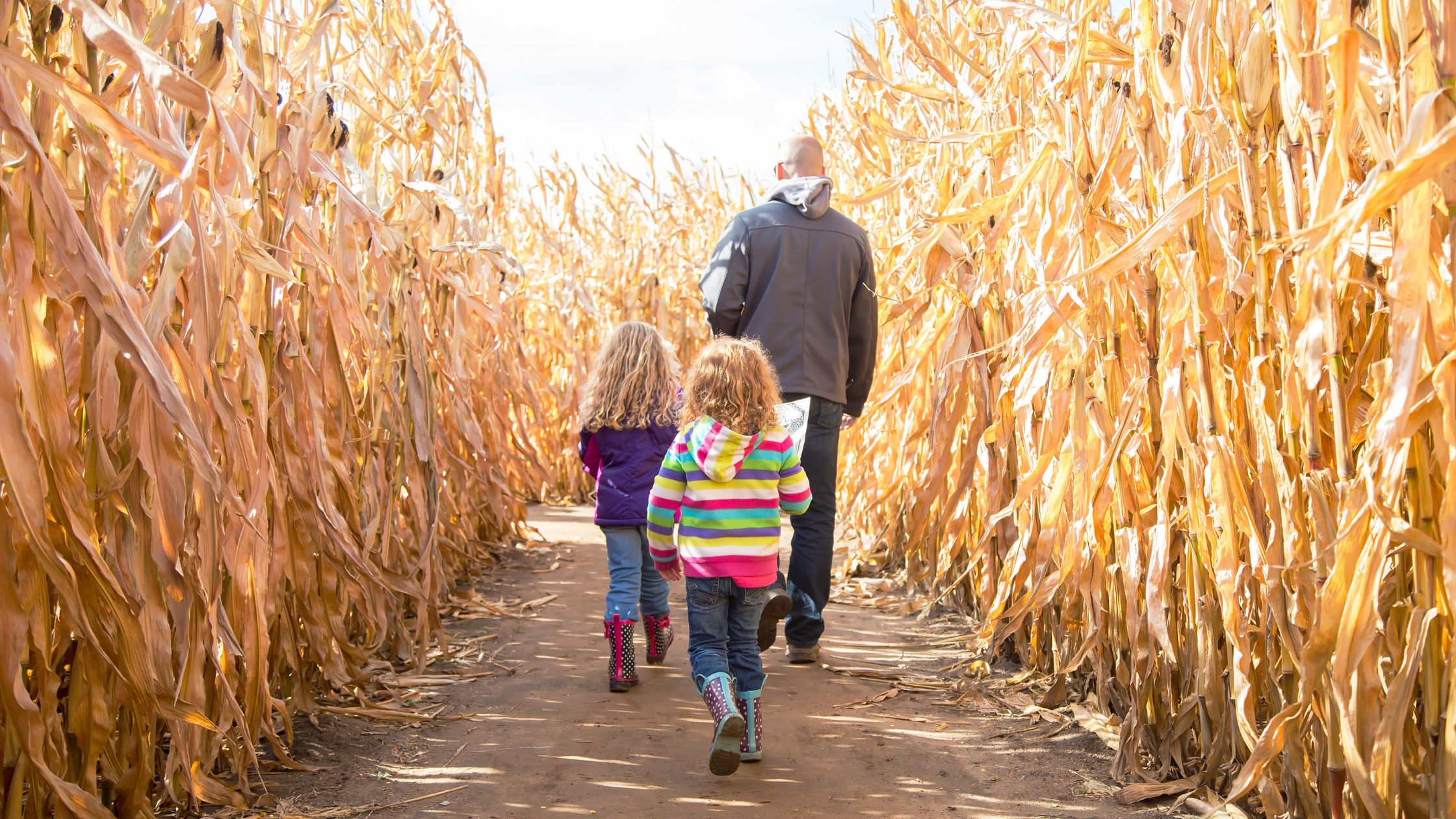 Your Lubbock Fall Bucket List: Events and Experiences Close to Home