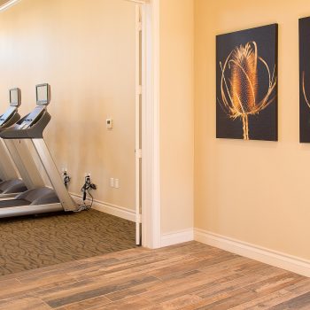 Amenities @ Catalina West Apartments | Luxury Apartments in Lubbock, Texas