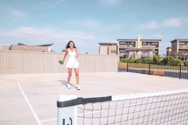 Pickleball Court Pickleball Court